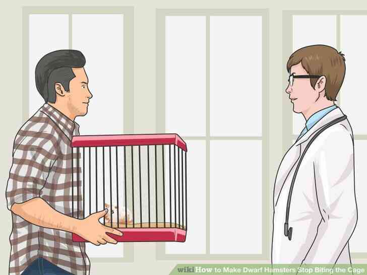 Image intitulée Faire des Hamsters Nains Arrêter de Mordre la Cage de l